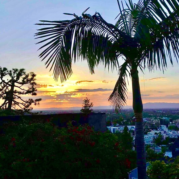 Meet your Posher, Lilly - Picture 1 of 1